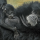 Illustration for article titled "Creationist Zoo" Not The Oxymoron It Should Be!